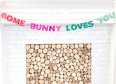 Some Bunny Loves You Felt Easter Garland / Banner